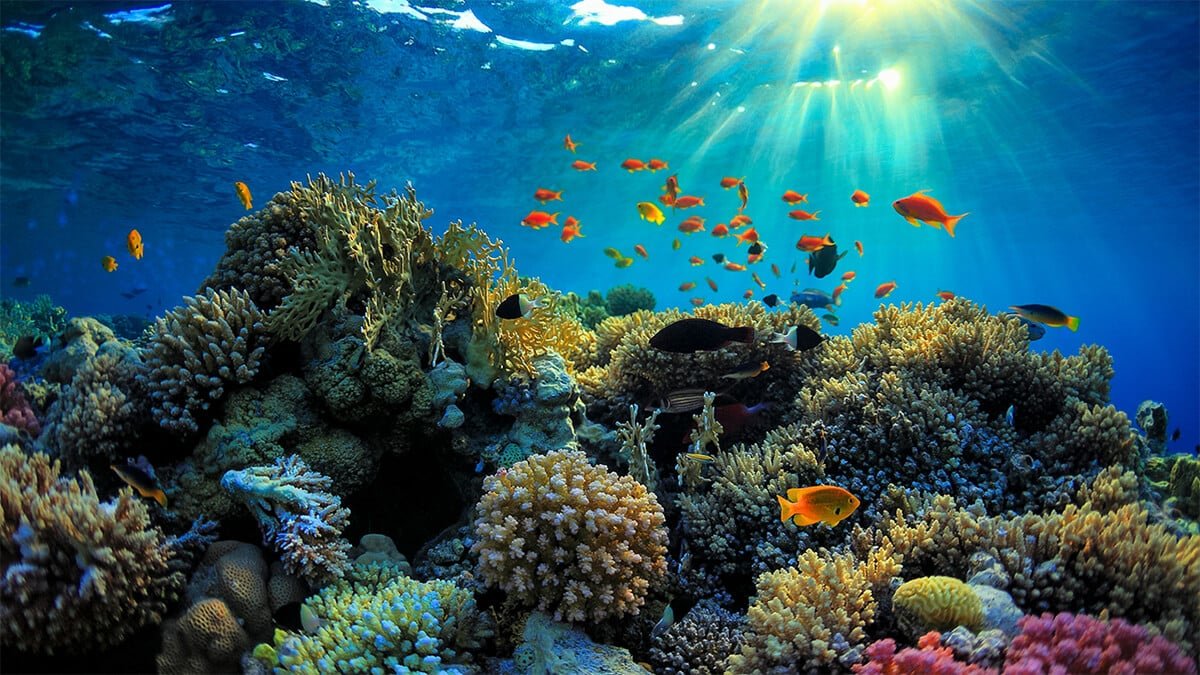 How many days in Phu Quoc