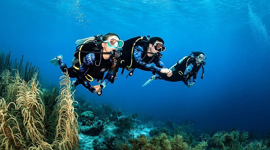 trip to Kim Quy Island