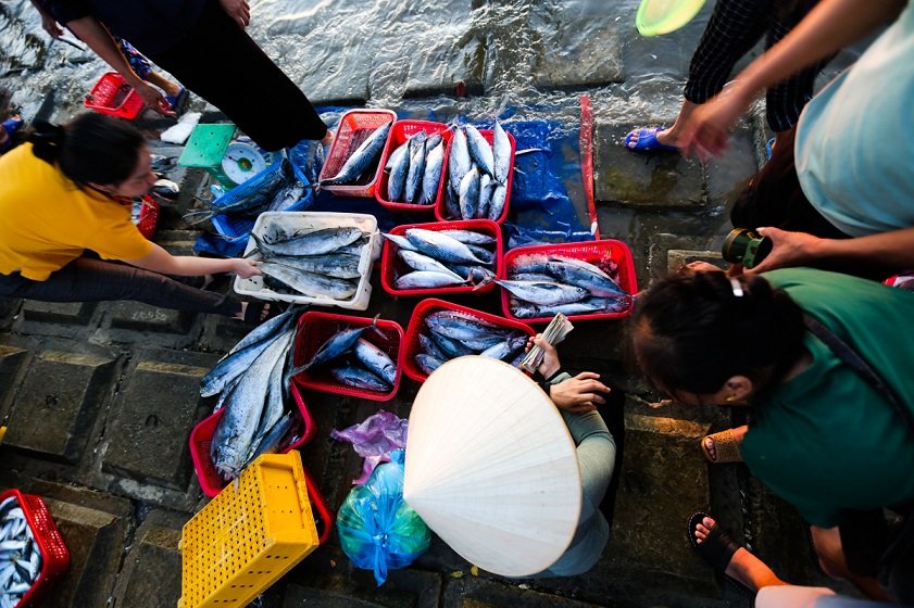 Experience the hustle of Con Go Seafood Marke